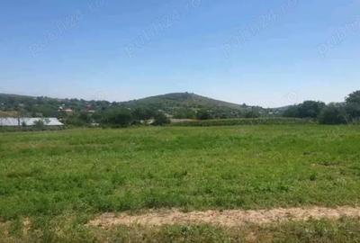 Teren de 7000 mp, în Telița - 1