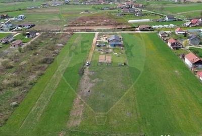 Teren de 1343 mp, în Cătălina - 1