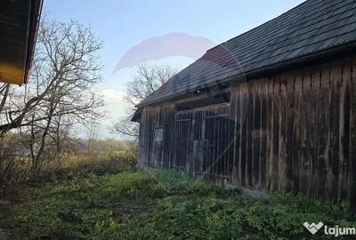 Teren de 10860 mp, în Frătăuții Noi - 5