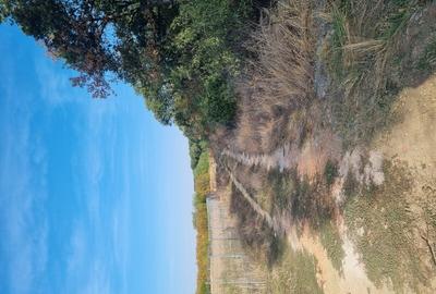 Vanzare Teren  Industrial Pantelimon Cernica 10000mp - 3