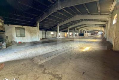 Spațiu comercial, de 2,000 mp, în Aușeu - 7