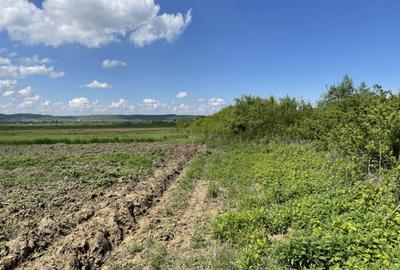Teren la 13 KM de Baia Mare - 3