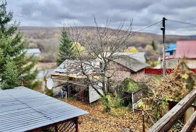 Casă cu 5 camere cu Teren 4500 Mp în Schitu Duca - 11