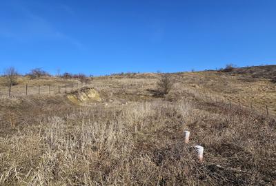 Teren agricol extravilan de 5665 mp, în Iris - 4