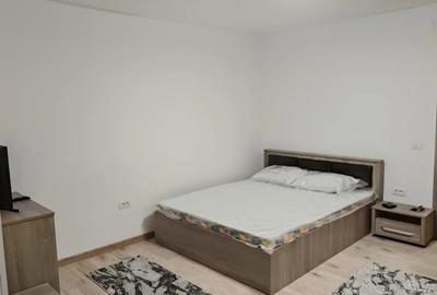 Inchiriez garsoniera Craiovei - 8