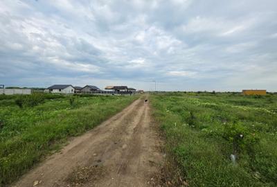 Teren Construcții intravilan de 529 mp, în Frumușani - 15