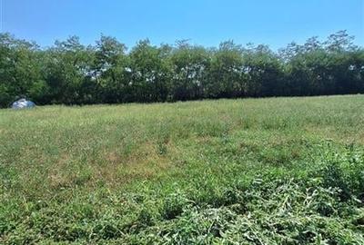 TEREN INTRAVILAM DE VANZARE IN BORZESTI - ONESTI