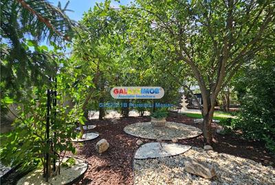 Casă individuală cu 4 camere cu Piscina în Clinceni - 7