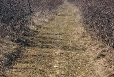 Spațiu comercial, în Plopu - 3