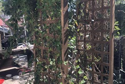 Casă cu 4 camere cu Teren 160 Mp în Central - 2