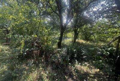 Casa cu 4 camerd?n zona Tabaci, Valenii de Munte  teren 1000 /?. - 17