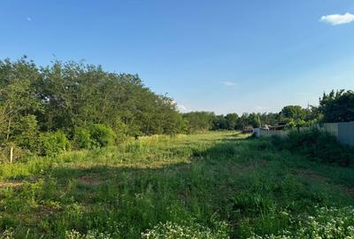 Teren intravilan, 8700m2, oportunitate investitie, Baicoi, Prahova - 4