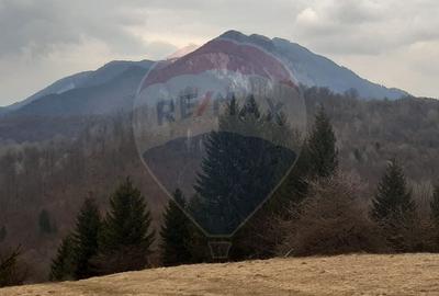 Teren Construcții extravilan de 14250 mp, în Nord-Est