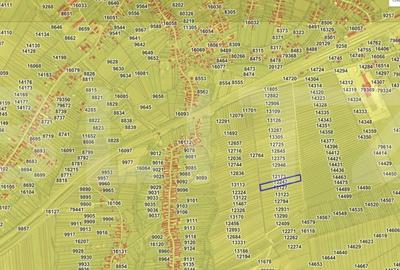 Teren intravilan 7.600 mp – ideal pentru HALĂ industriala, zona Vintul de Jos - 2
