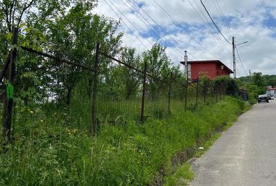 Teren de 4200 mp, în Ocina de Sus - 20