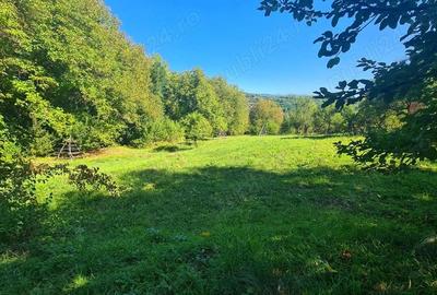 Casa la ro?u + 4391 mp teren de vanzare in comuna Valea Danului, sat Borobane?ti, jude? Arge?. - 10