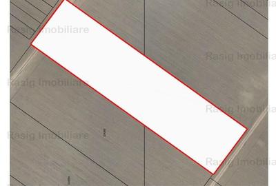 Oportunitate ! Teren 1 ha ,zona Berceni - IMGB , POT=70 %, CUT=3 - 3
