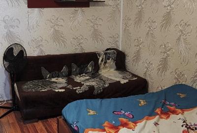 Garsonieră în Măgurele - 7