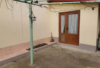 Vand casa piscul corbului comuna Nicoresti - 3