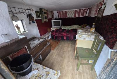 Casă individuală cu 2 camere cu Teren 2723 Mp în Sătic - 3