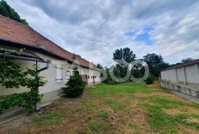 Teren de 1500 mp, în Săcel - 7