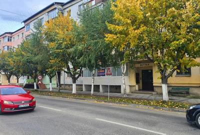 Apartament cu 3 camere de vanzare in Curtea de Arge?. - 9