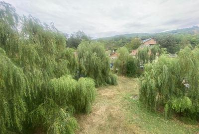 Valea Buzaului, Ciuta Magura, ideala Pensiune! - 5