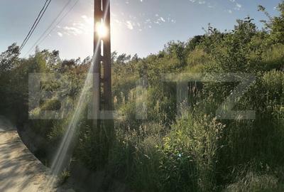 Teren de 14400 mp, în Gemenea-Brătulești - 6