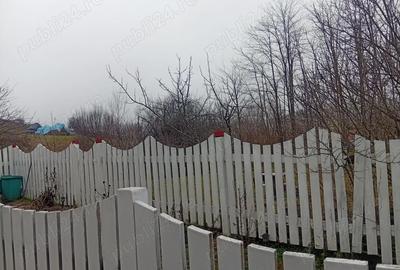 Casă cu 3 camere în Mureșeni - 2