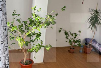 Garsonieră în Sălaj - 5