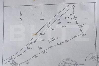 Teren de 2977 mp, în Scărișoara - 4