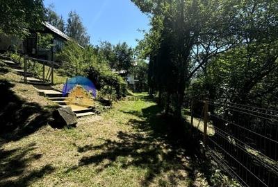 Teren unicat in Piatra Neamt - 5