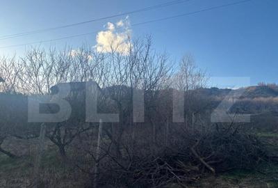 Teren Intravilan de vanzare, 3300 mp, zona Livezile - 2