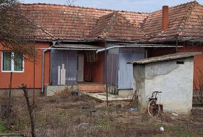 Casă cu 3 camere cu Teren 7400 Mp în Răscruci - 1