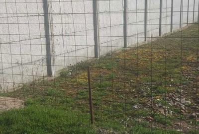 Spațiu comercial, în Chiscani - 1