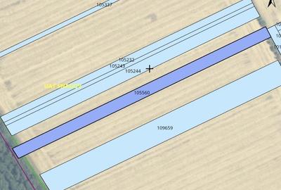 Teren intravilan 4950 mp, com Snagov-Caciulati - 1