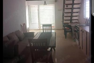 Casă cu 2 camere cu Teren 500 Mp în Rusu Bârgăului - 4