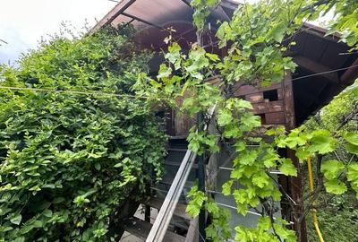 DE VANZARE - Cabana  / casa vacanta in COAS