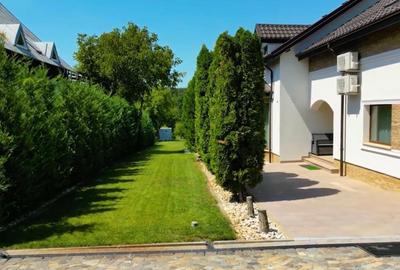 BRANESTI-VILA SUPERBISSIMA,LA LAC,PISCINA,FANTASTICA,UNICAT,700000 EURO - 10