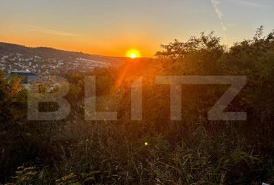 Teren intravilan in Zona Sarmas in suprafata de 1500 mp - 3