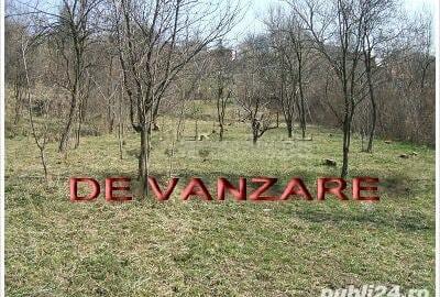 Teren de 3200 mp, în Câmpina - 2