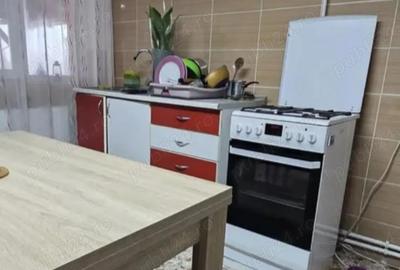 Casă cu 3 camere cu Teren 1997 Mp în Mica - 5