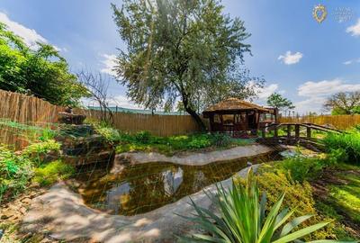 Casa cu piscina de vanzare In Paulis - 4