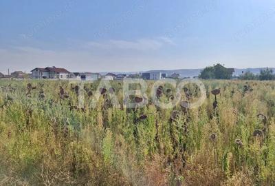 Teren intravilan de vanzare in Sebes drumul Petrestiului - 1