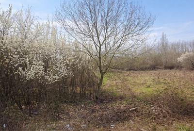 Teren Construcții intravilan de 1080 mp, în Vest - 2