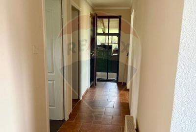 Casă individuală cu 4 camere cu Teren 250 Mp în Ocna Șugatag - 8