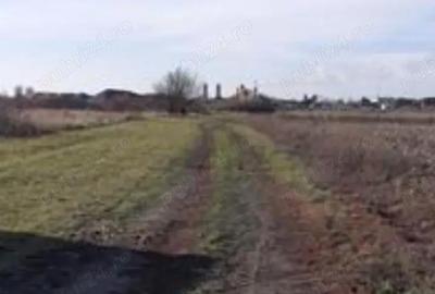 Teren de 2500 mp, în Chiajna - 2