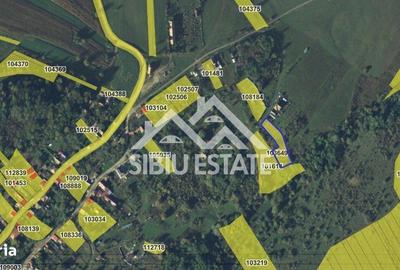Spațiu comercial, în Nucet - 3