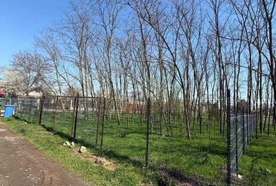 Teren de 800 mp, în Gruiu - 4