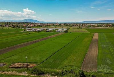 Aliniament de liniste, drum usor, 5.000 mp pamant verde, Bod Brasov: FILM! - 3